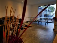 Green Olive Panorama - Wifi