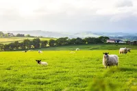 Union Road Moto Velo Accommodation Hotels in Thorverton