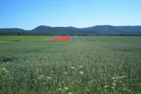 Ferienwohnung-Stricker-Bad-Sachsa Hotels in Bad Sachsa