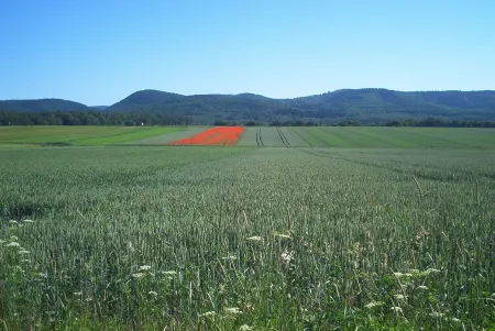 Ferienwohnung-Stricker-Bad-Sachsa Отели в г. Бад-Закса