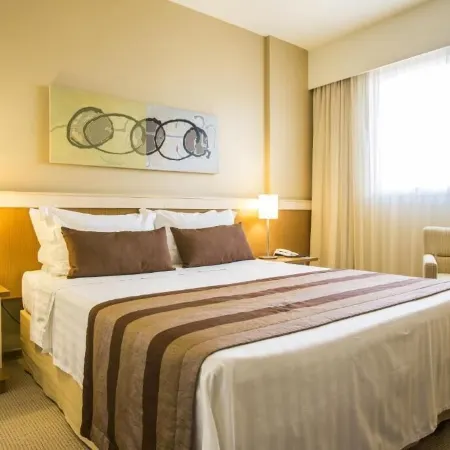 Astron Hotel Bauru by Nobile Отели в г. Бауру