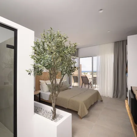 Olive Vista Suites Отели рядом с достопримечательностью «Пляж Агиасос»