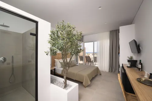 Olive Vista Suites Hotels in Kastraki