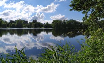 La Chaussee d'Olivet en Mayenne