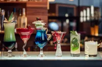 Warsaw Plaza Hotel - bar
