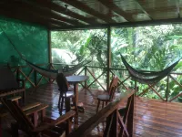 Enchanting House Overlooking the Primary Forest