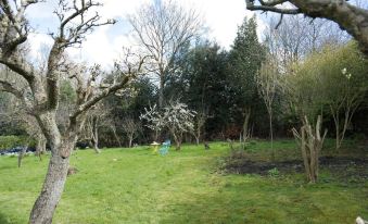 Cosy Secret Cottage in a Beautiful Walled Garden