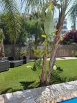Villa Michelle 8 in Protaras