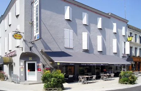 Hôtel du Lion d'Or Отели в г. Румань