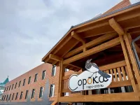 Soroka Hotel Hotels in Sysertskiy rayon