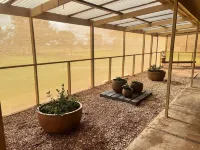 Wings Field - peaceful family farm stayFarm stay in Tocumwal, Australia