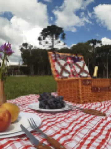 O Chale Encantado Hotels in Rancho Queimado