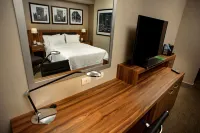 هامبتن إن باي هيلتون بييدراس نيغراس فنادق في 