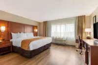 Comfort Inn & Suites - 2-Star