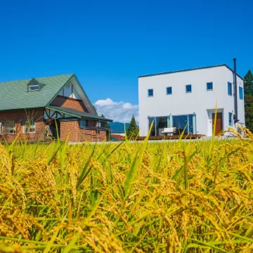 Farm To Table NORICHIE