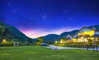 Hwacheon Parprika Yellow Pension