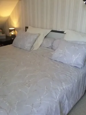 Les Acacias Hotel a Cannes-ecluse