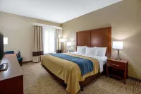 Comfort Inn Indianapolis North - Carmel