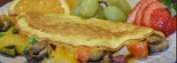 Wild Goose Inn Hotels in Okemos