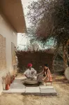 Brij Pola, Jawai - Luxury Jungle Camp with Private Pools