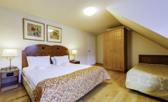 Steiger Apparthotel Bad Schandau
