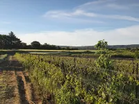 A la Maison de Sophie Hotel a Aniane