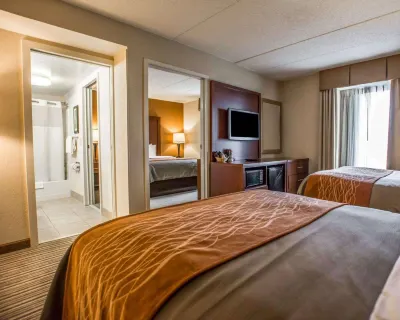 Comfort Inn at the Park