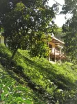 Kimakia Tea Cottages Hotels in Aberdare Forest