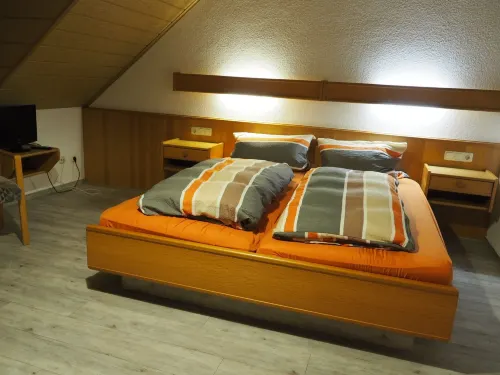 Darmstädter Hof Hotels in Bodenheim