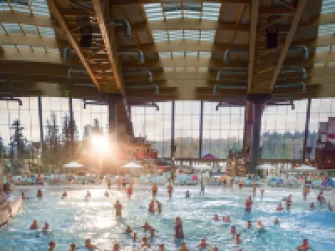 Hotel SunParc - Shuttle Zum Europa-Park Rust 4km & Rulantica 2km Hotels in Ringsheim
