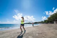 Cofresi Palm Beach & Spa Resort - All Inclusive - ติดทะเล