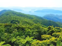 Amami Oshima Guest House Showa-Sou - Hostel