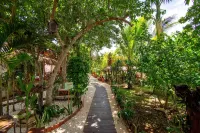 Hotel Zentik Project & Saline Cave Hotels near Museo San Roque