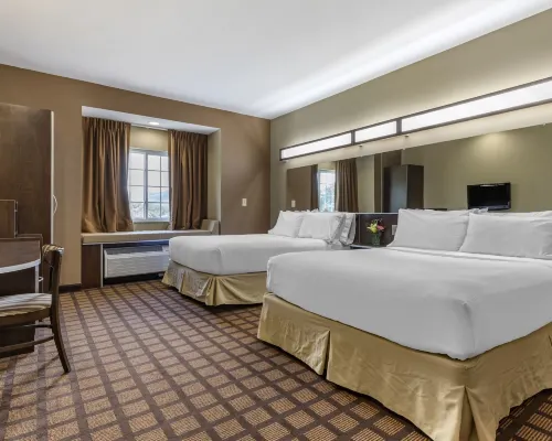 西爾瓦迪爾斯伯勒區麥客達套房酒店 傑克遜縣酒店