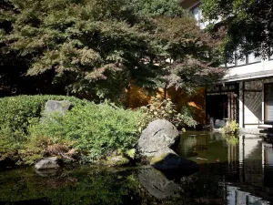 Oku Yugawara Tsubaki