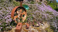 Podere Pontepietra Hotels in Attigliano