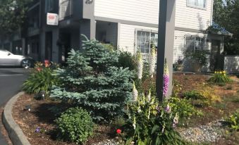 Tulip Inn Mount Vernon