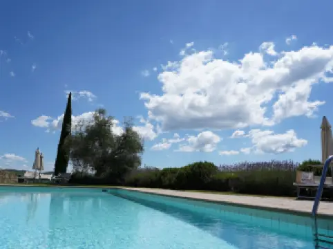 와인 리조트 디에볼레