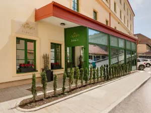 Hotel Park 45