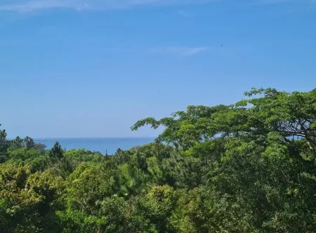 Leading Guest Farm Отели рядом с достопримечательностью «Oasis Caravan Park, Camping Ground and Chalets»