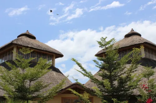 Mora Heights Hotel Hotels in Arba Minch