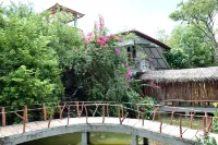 Hungry Lion Sigiriya