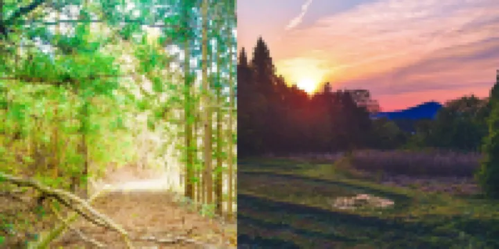 Forest Cottage Kesennuma