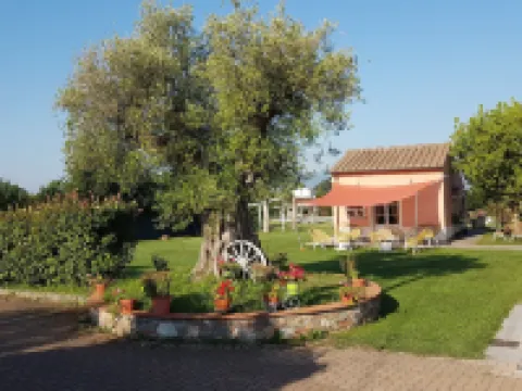 Casal Sant'Elena Hotels in Altopascio