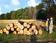 貝茨塞海德的度假屋 貝茨賽德住宿飯店