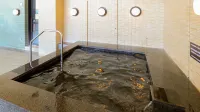 Ooedo Onsen Monogatari Nagayama - Hot Tub