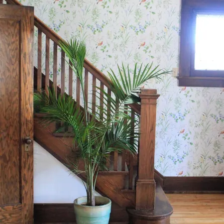 Bright, spacious, historic home in downtown Viroqua.