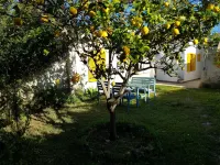 Casita fishing south of the island Hotels in S'Estanyol