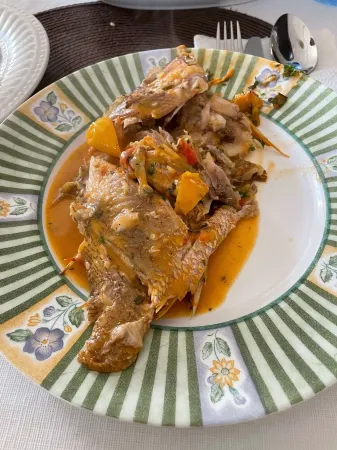 The Best Experience in Luxury Villa in Santo Domingo