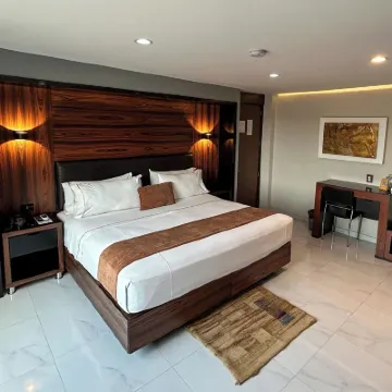 Hotel Dali Plaza Ejecutivo Hotels near Zoologico Guadalajara